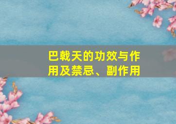 巴戟天的功效与作用及禁忌、副作用