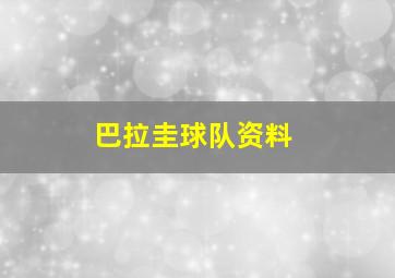 巴拉圭球队资料