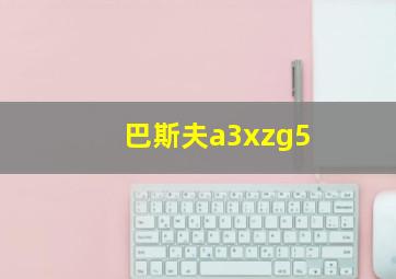 巴斯夫a3xzg5