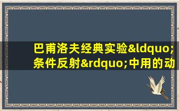 巴甫洛夫经典实验“条件反射”中用的动物是