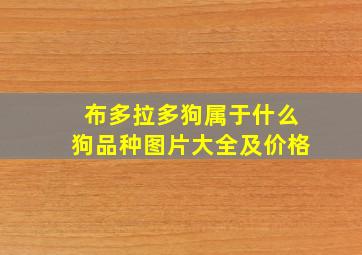 布多拉多狗属于什么狗品种图片大全及价格