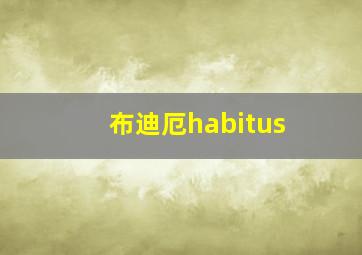 布迪厄habitus