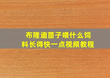 布隆迪苗子喂什么饲料长得快一点视频教程