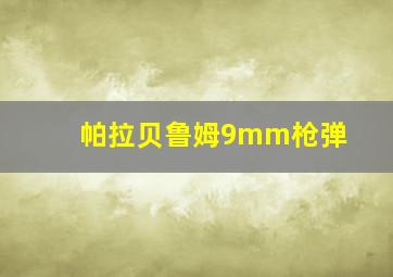 帕拉贝鲁姆9mm枪弹