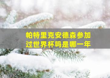 帕特里克安德森参加过世界杯吗是哪一年