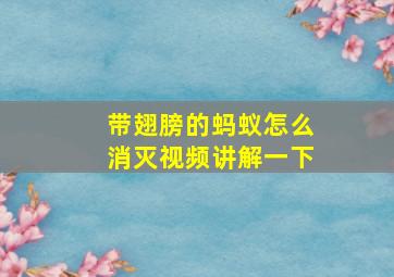 带翅膀的蚂蚁怎么消灭视频讲解一下