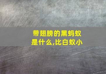 带翅膀的黑蚂蚁是什么,比白蚁小