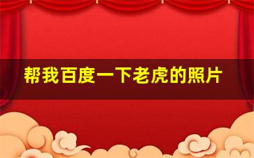 帮我百度一下老虎的照片