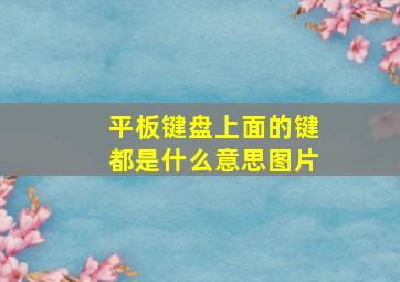 平板键盘上面的键都是什么意思图片