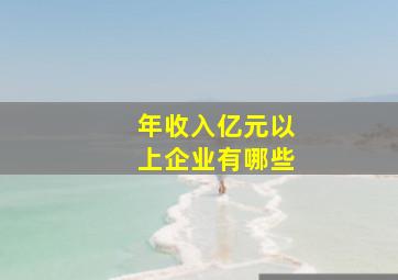 年收入亿元以上企业有哪些