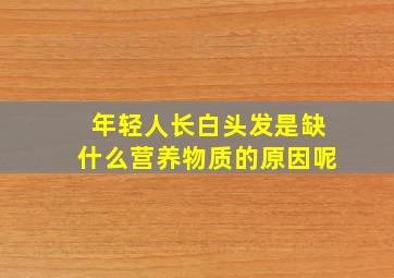 年轻人长白头发是缺什么营养物质的原因呢