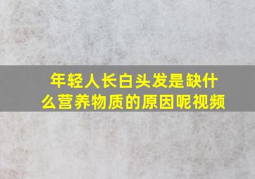 年轻人长白头发是缺什么营养物质的原因呢视频