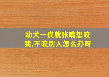 幼犬一摸就张嘴想咬我,不咬别人怎么办呀