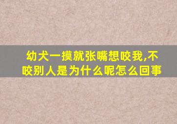 幼犬一摸就张嘴想咬我,不咬别人是为什么呢怎么回事