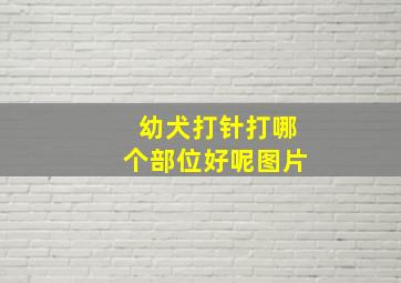 幼犬打针打哪个部位好呢图片