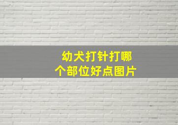 幼犬打针打哪个部位好点图片