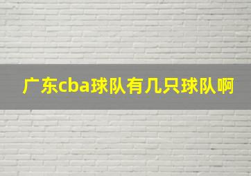 广东cba球队有几只球队啊