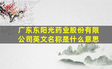 广东东阳光药业股份有限公司英文名称是什么意思