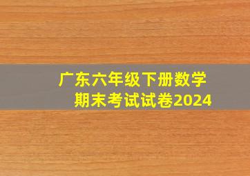 广东六年级下册数学期末考试试卷2024