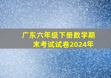 广东六年级下册数学期末考试试卷2024年