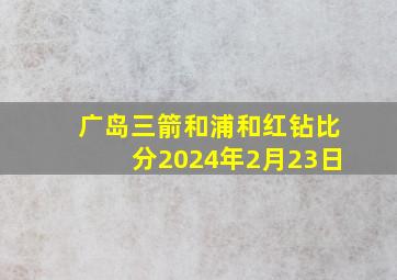 广岛三箭和浦和红钻比分2024年2月23日