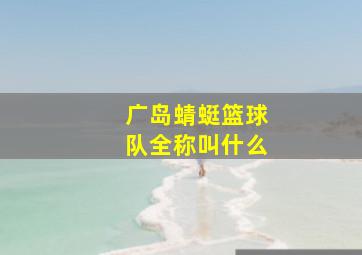 广岛蜻蜓篮球队全称叫什么