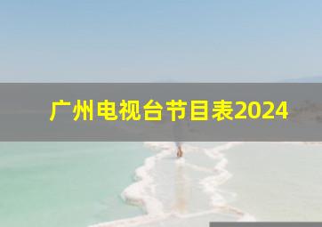 广州电视台节目表2024