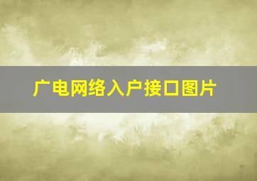 广电网络入户接口图片