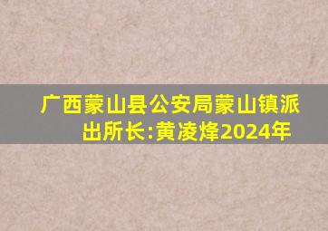 广西蒙山县公安局蒙山镇派出所长:黄凌烽2024年