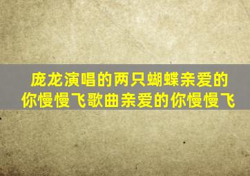 庞龙演唱的两只蝴蝶亲爱的你慢慢飞歌曲亲爱的你慢慢飞