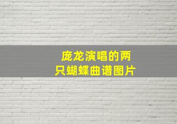 庞龙演唱的两只蝴蝶曲谱图片