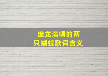 庞龙演唱的两只蝴蝶歌词含义