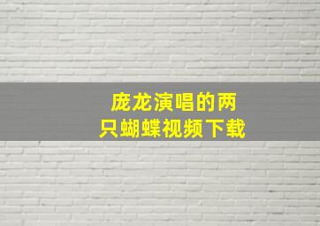 庞龙演唱的两只蝴蝶视频下载