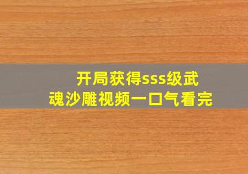 开局获得sss级武魂沙雕视频一口气看完