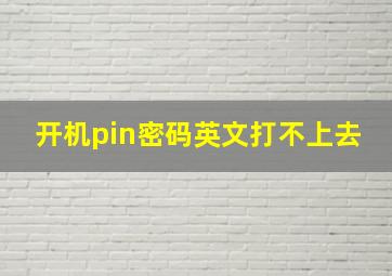 开机pin密码英文打不上去