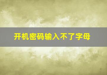 开机密码输入不了字母