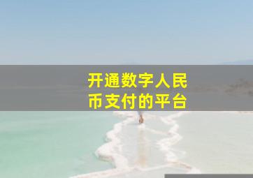 开通数字人民币支付的平台