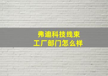 弗迪科技线束工厂部门怎么样