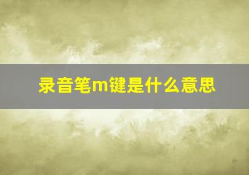 录音笔m键是什么意思