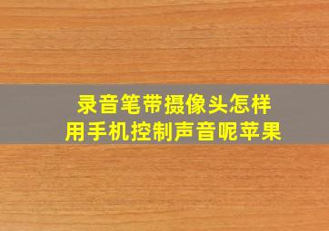 录音笔带摄像头怎样用手机控制声音呢苹果