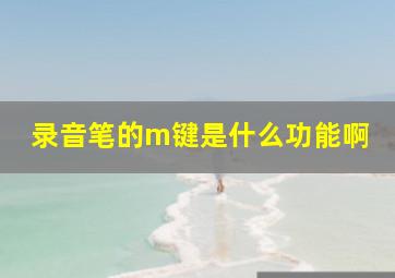 录音笔的m键是什么功能啊