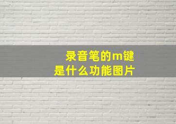 录音笔的m键是什么功能图片