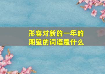 形容对新的一年的期望的词语是什么