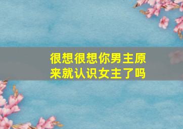 很想很想你男主原来就认识女主了吗