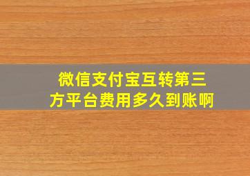 微信支付宝互转第三方平台费用多久到账啊