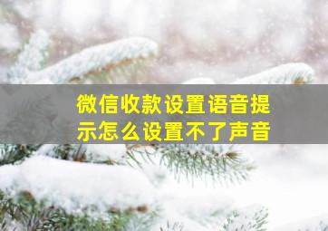 微信收款设置语音提示怎么设置不了声音