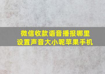 微信收款语音播报哪里设置声音大小呢苹果手机