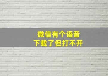 微信有个语音下载了但打不开