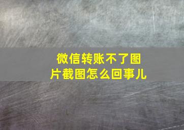 微信转账不了图片截图怎么回事儿