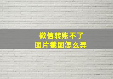 微信转账不了图片截图怎么弄